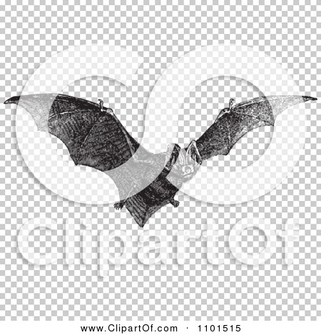 Transparent clip art background preview #COLLC1101515
