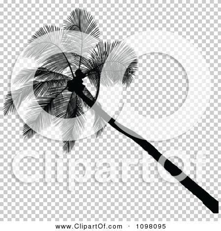 Transparent clip art background preview #COLLC1098095
