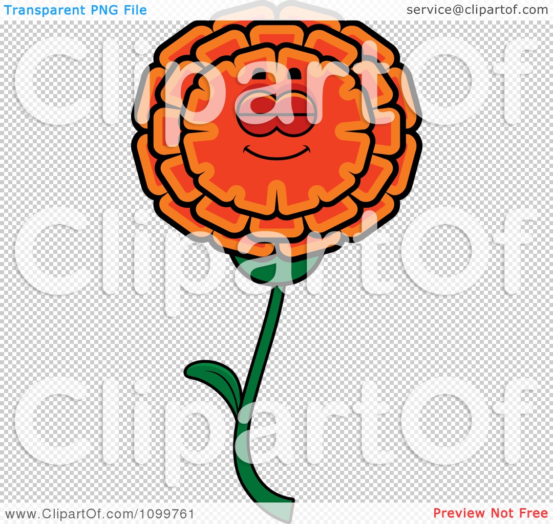 marigold flower clipart vector