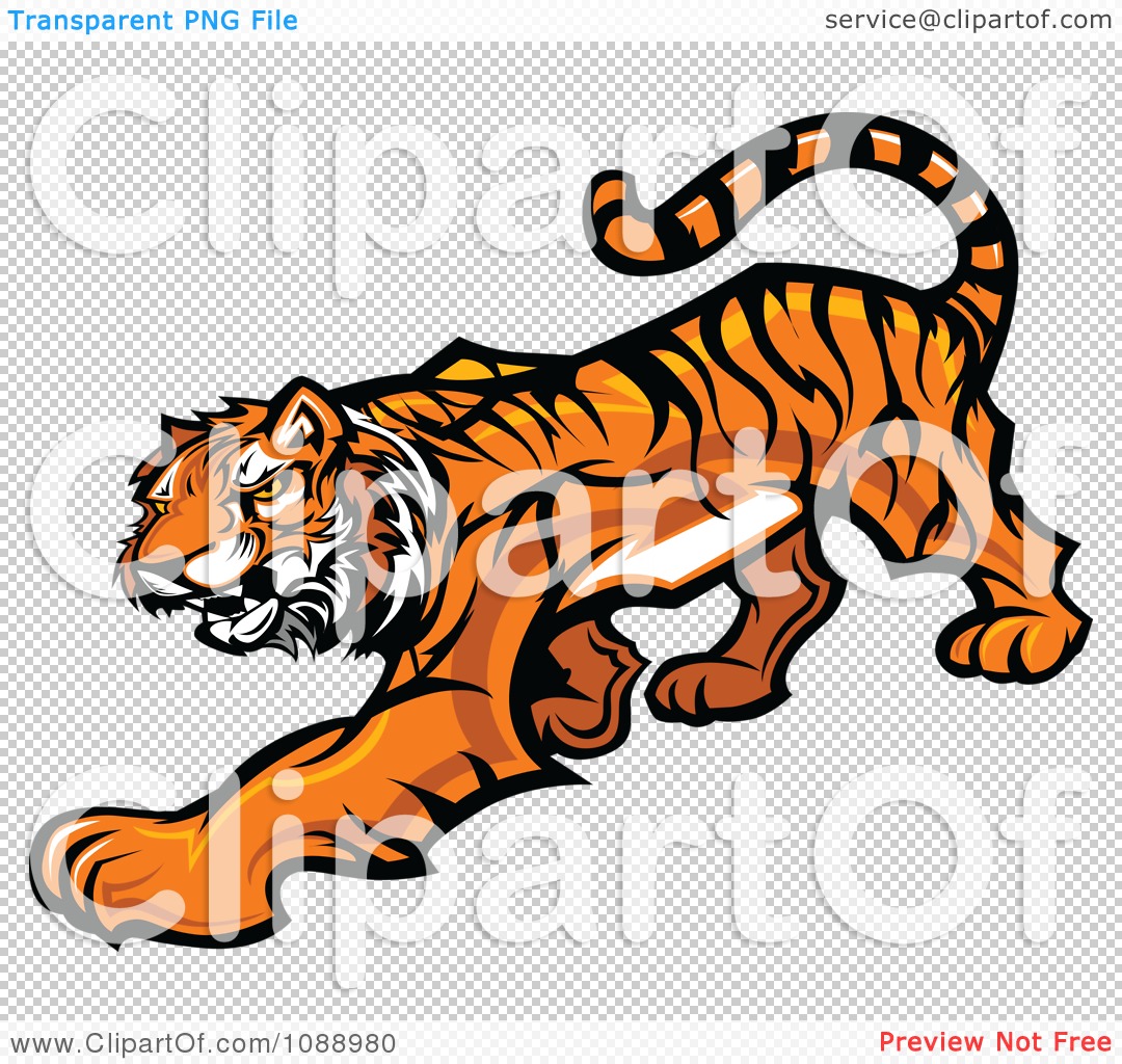 Clipart Tiger Mascot Stalking - Royalty Free Vector Illustration by ...