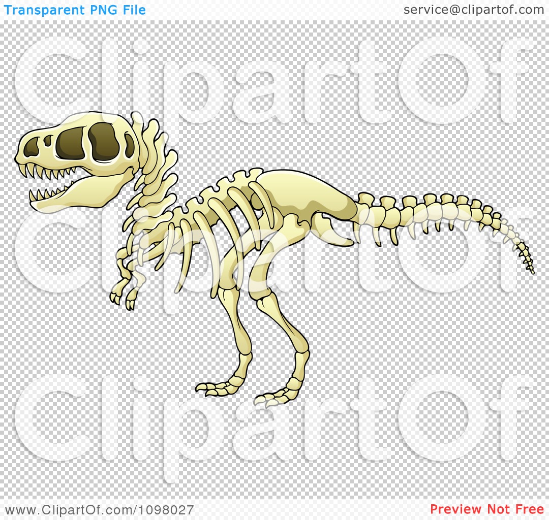 Clipart Tyrannosaurus Rex Dinosaur Skeleton - Royalty Free Vector