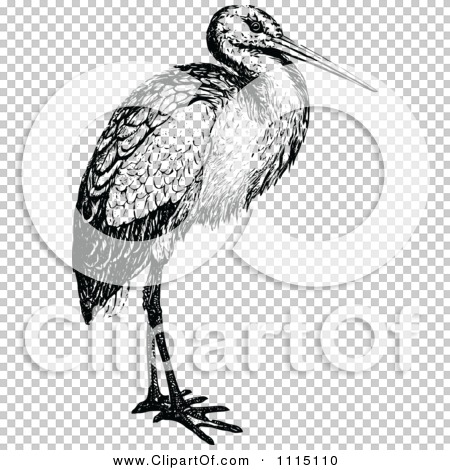 Clipart Vintage Black And White Stork Bird - Royalty Free Vector ...