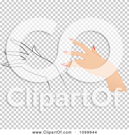 Transparent clip art background preview #COLLC1099944