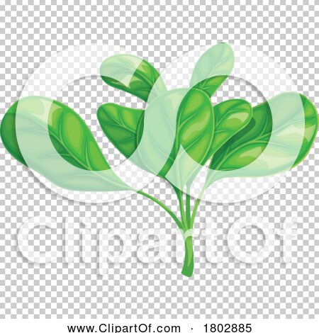 Transparent clip art background preview #COLLC1802885