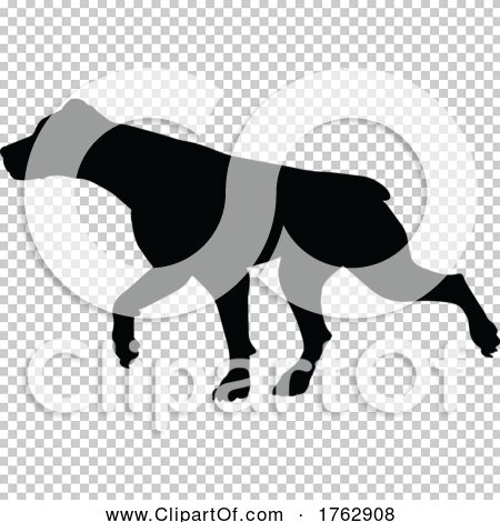 Transparent clip art background preview #COLLC1762908