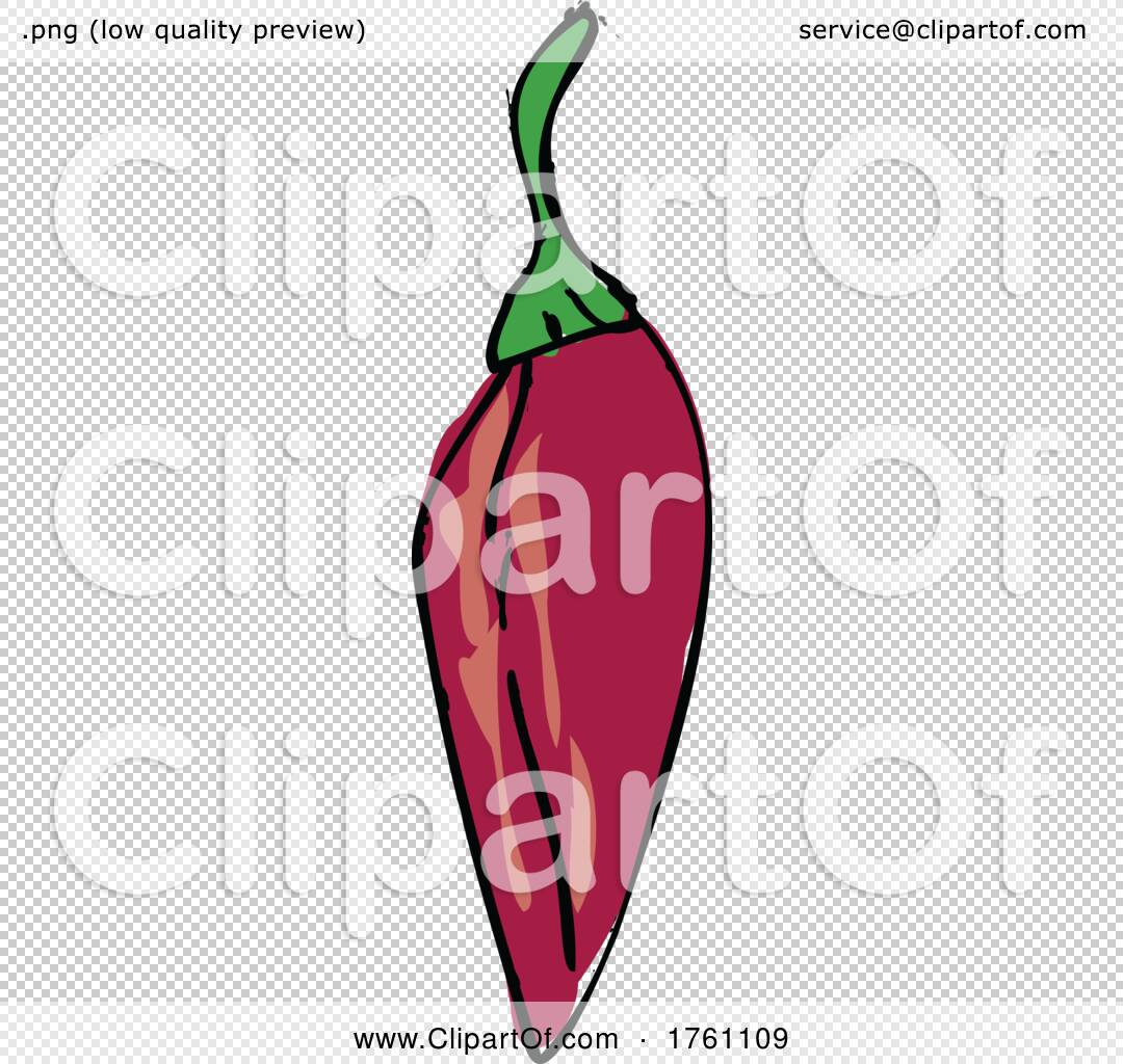 3,000+ Red Chili Pepper Drawing Illustrations, Royalty-Free Vector Graphics  & Clip Art - iStock
