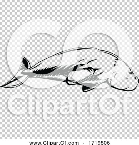 Transparent clip art background preview #COLLC1719806