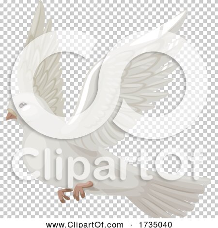 Transparent clip art background preview #COLLC1735040