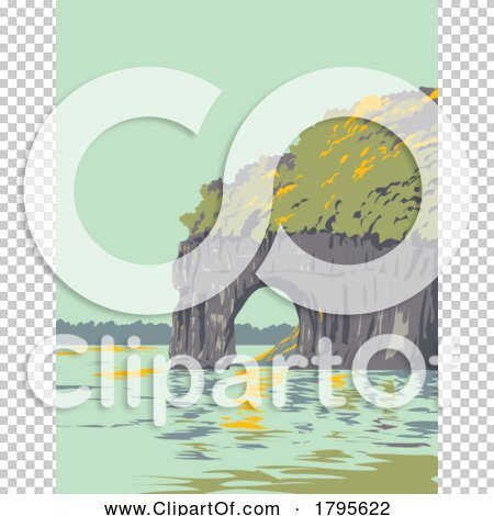 Transparent clip art background preview #COLLC1795622
