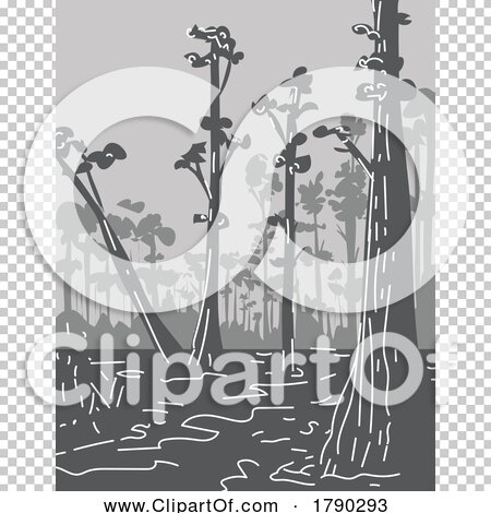 Transparent clip art background preview #COLLC1790293