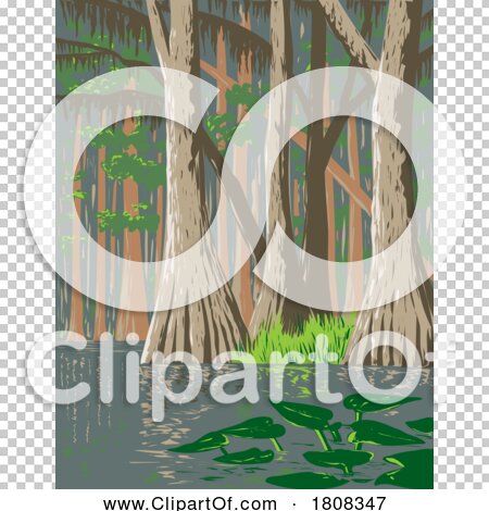 Transparent clip art background preview #COLLC1808347