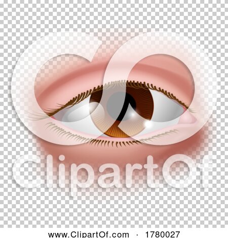 Transparent clip art background preview #COLLC1780027
