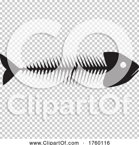 Transparent clip art background preview #COLLC1760116