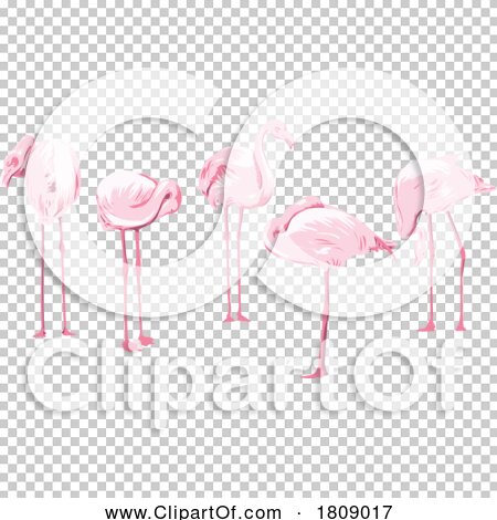 Transparent clip art background preview #COLLC1809017