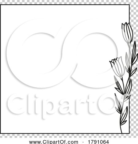 Transparent clip art background preview #COLLC1791064