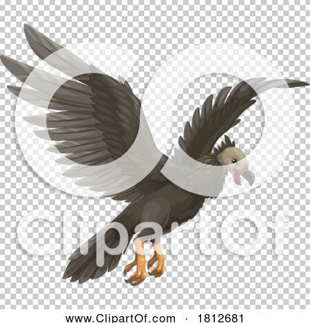 Transparent clip art background preview #COLLC1812681