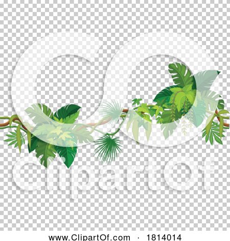 Transparent clip art background preview #COLLC1814014