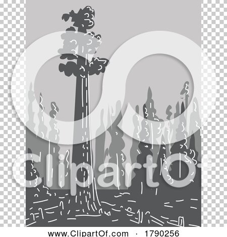 Transparent clip art background preview #COLLC1790256