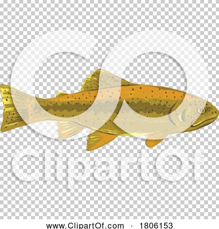 Transparent clip art background preview #COLLC1806153