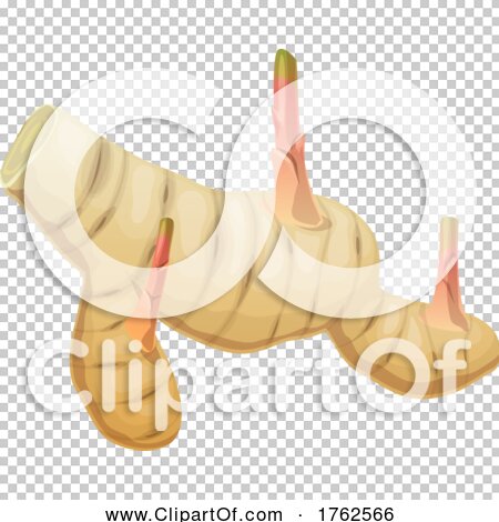 Transparent clip art background preview #COLLC1762566