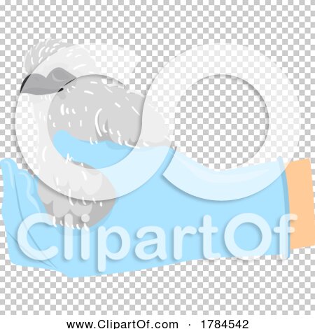 Transparent clip art background preview #COLLC1784542