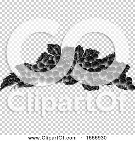 Transparent clip art background preview #COLLC1666930