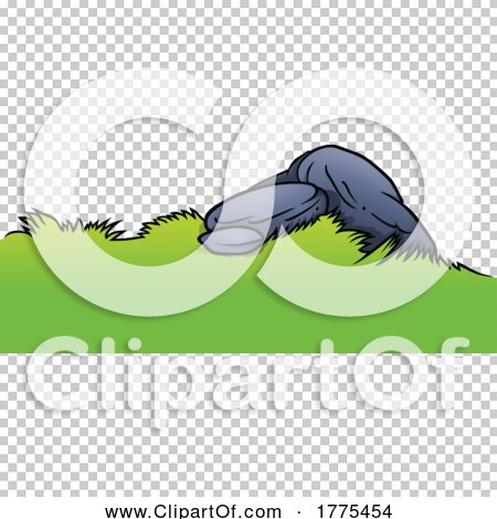 Transparent clip art background preview #COLLC1775454
