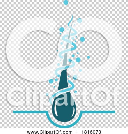 Transparent clip art background preview #COLLC1816073