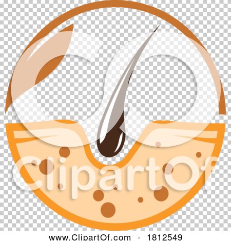 Transparent clip art background preview #COLLC1812549