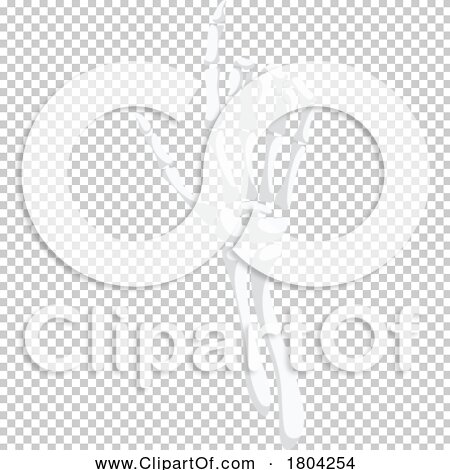 Transparent clip art background preview #COLLC1804254