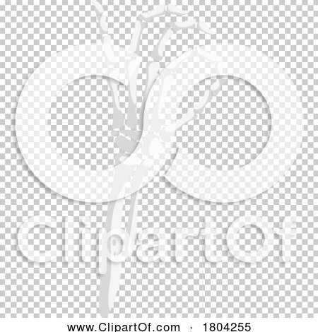 Transparent clip art background preview #COLLC1804255