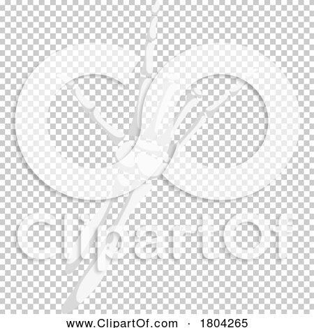 Transparent clip art background preview #COLLC1804265