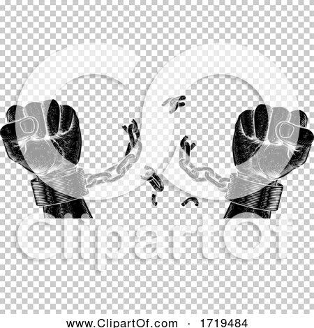 Transparent clip art background preview #COLLC1719484