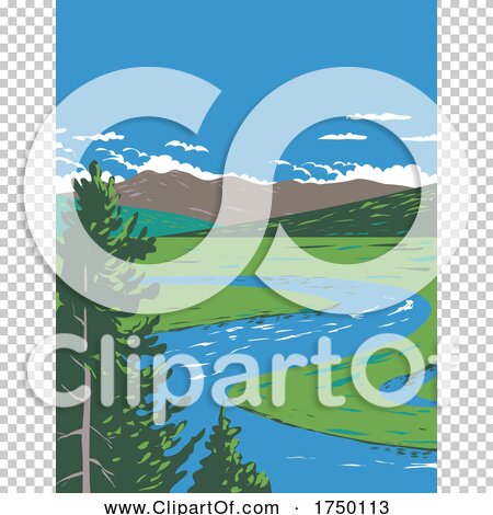 Transparent clip art background preview #COLLC1750113
