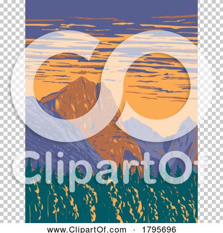 Transparent clip art background preview #COLLC1795696