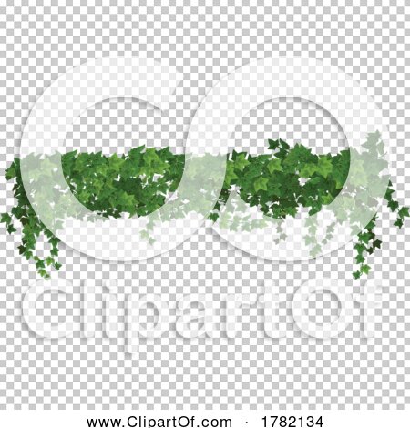 Transparent clip art background preview #COLLC1782134