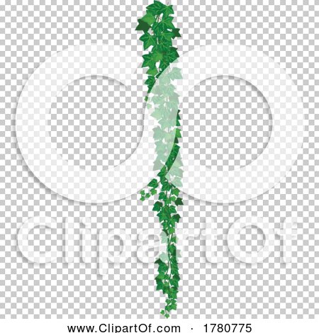 Transparent clip art background preview #COLLC1780775