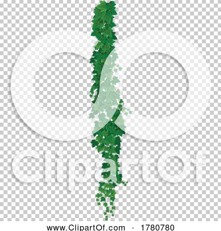 Transparent clip art background preview #COLLC1780780