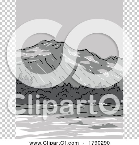 Transparent clip art background preview #COLLC1790290