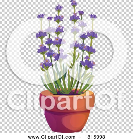 Transparent clip art background preview #COLLC1815998