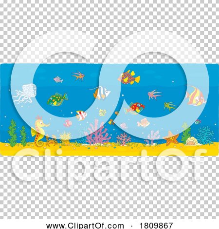 Transparent clip art background preview #COLLC1809867