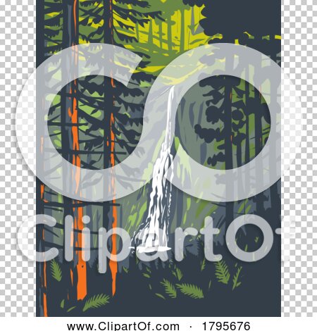 Transparent clip art background preview #COLLC1795676