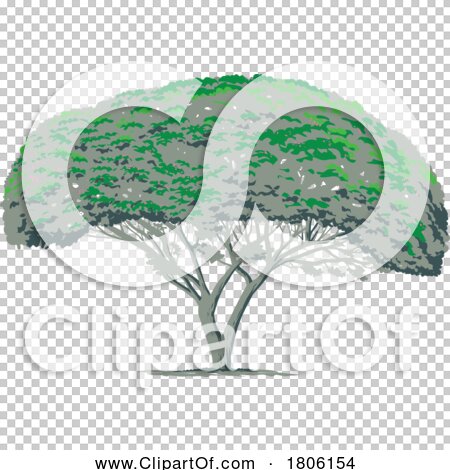 Transparent clip art background preview #COLLC1806154