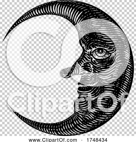 Transparent clip art background preview #COLLC1748434