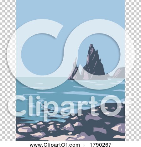 Transparent clip art background preview #COLLC1790267