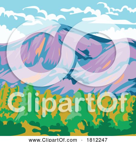 Transparent clip art background preview #COLLC1812247