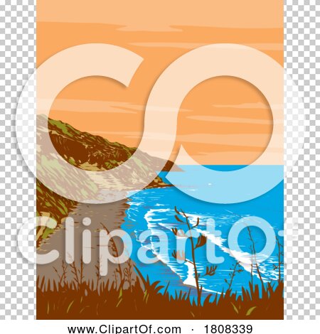 Transparent clip art background preview #COLLC1808339