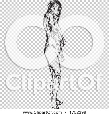 Transparent clip art background preview #COLLC1752399