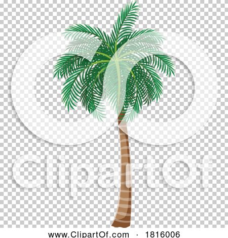 Transparent clip art background preview #COLLC1816006