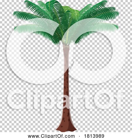 Transparent clip art background preview #COLLC1813989